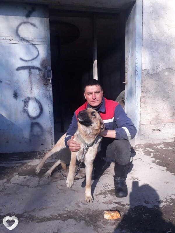 Роберт, 38, Шымкенте — анкета №2548512