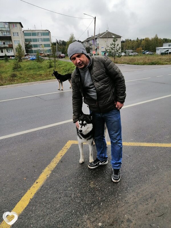 Денис, 39, Зеленоград — анкета №2555353