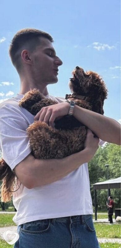 Никита, 28, Владимире — анкета №2555704