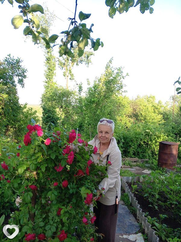 Алла, 70, Владимире — анкета №2561680