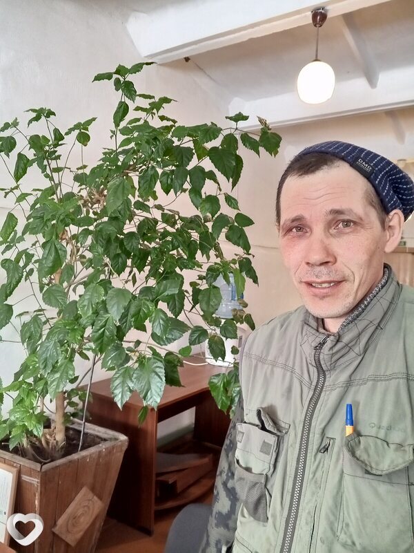 Владимир, Линево (Новосибирская обл)