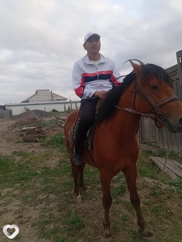 Серик, 41, Семей — анкета №2568086