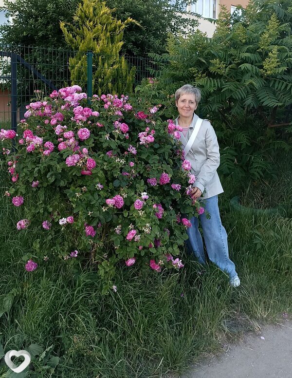 Светлана, 53, Калининграде — анкета №2568154