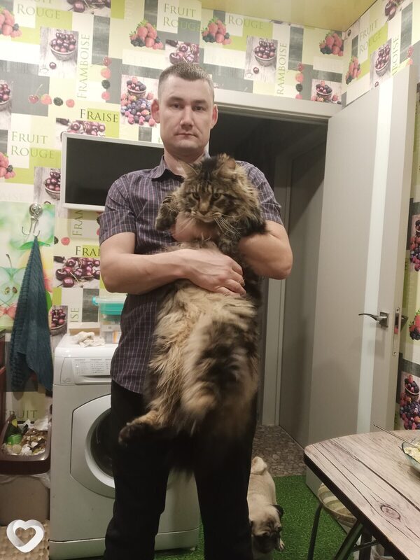 Александр, 35, Ижевске — анкета №2571035