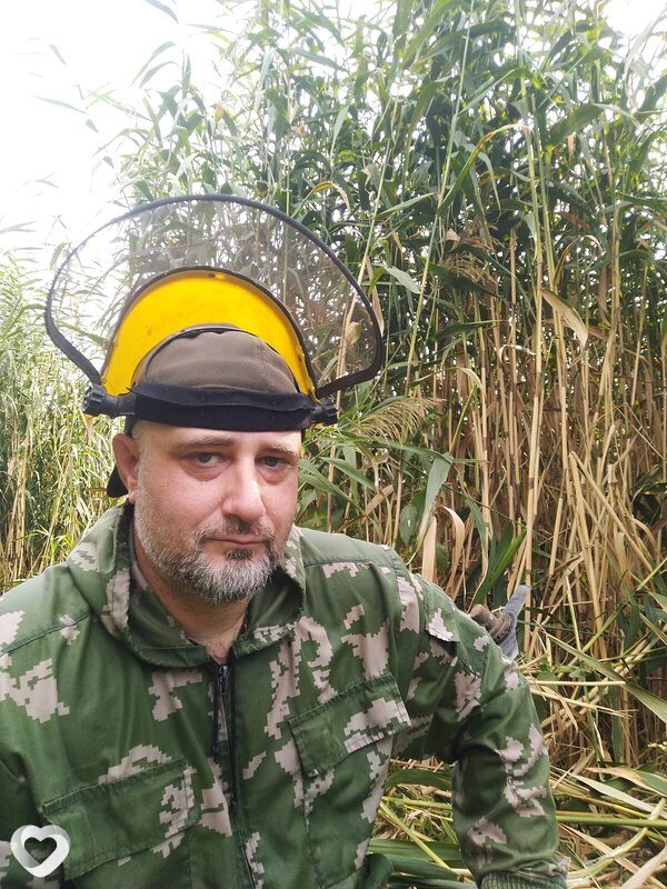 Владимир, Павловская
