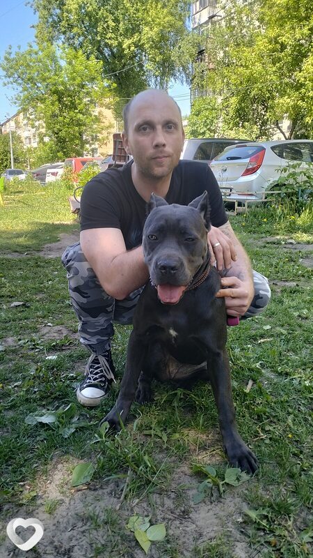 Евгений, 36, Нижнем Новгороде — анкета №2586324