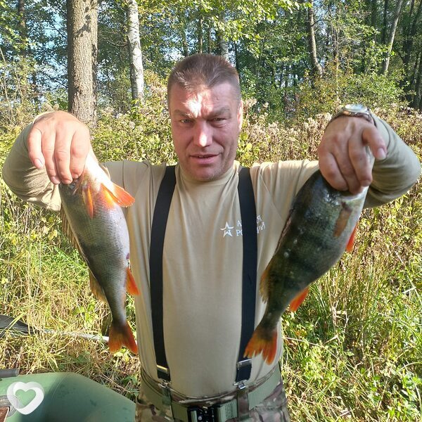 Владимир, 57, Владимире — анкета №2586493
