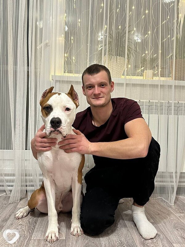 Дмитрий, 28, Челябинске — анкета №2600739