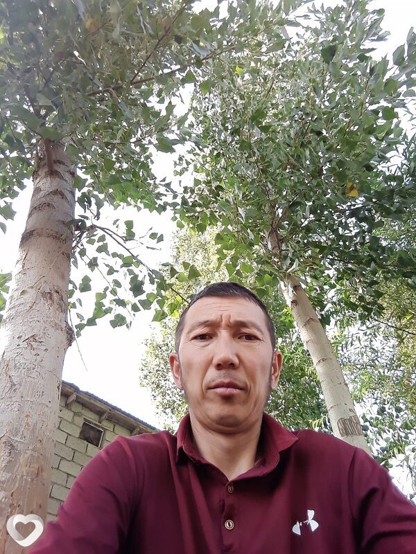 Алик, 40, Ярославле — анкета №2602973