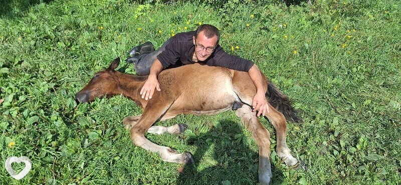 Дима, 42, Петропавловске-Камчатском — анкета №2608802