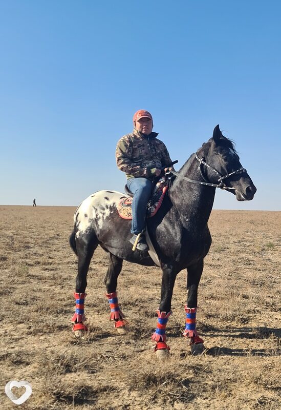 Жасик, 30, Шымкенте — анкета №2610756