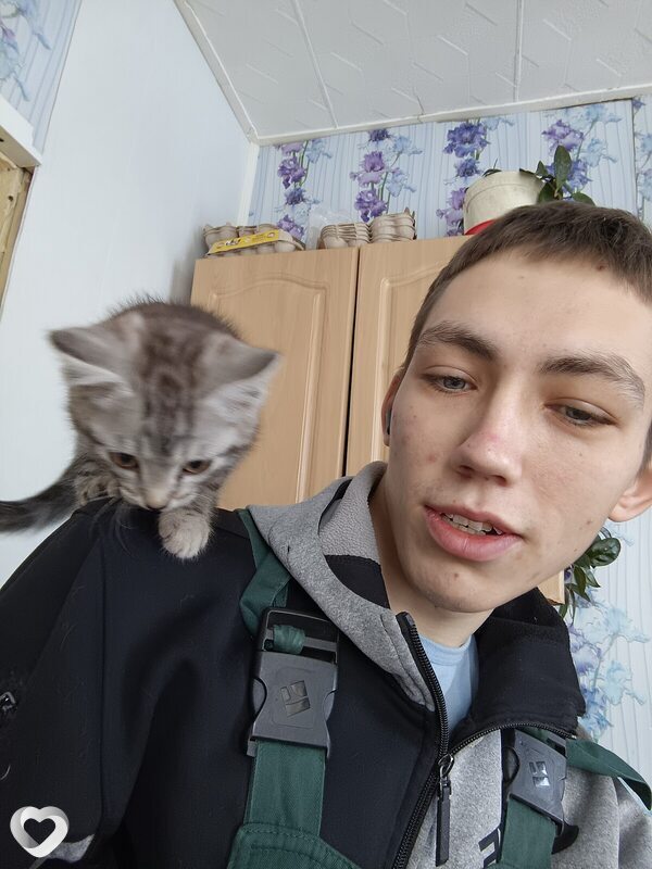 Иван, 23, Шарыпове — анкета №2615197