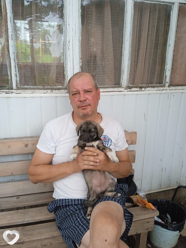 Андрей, 47, Сорочинске — анкета №2618143
