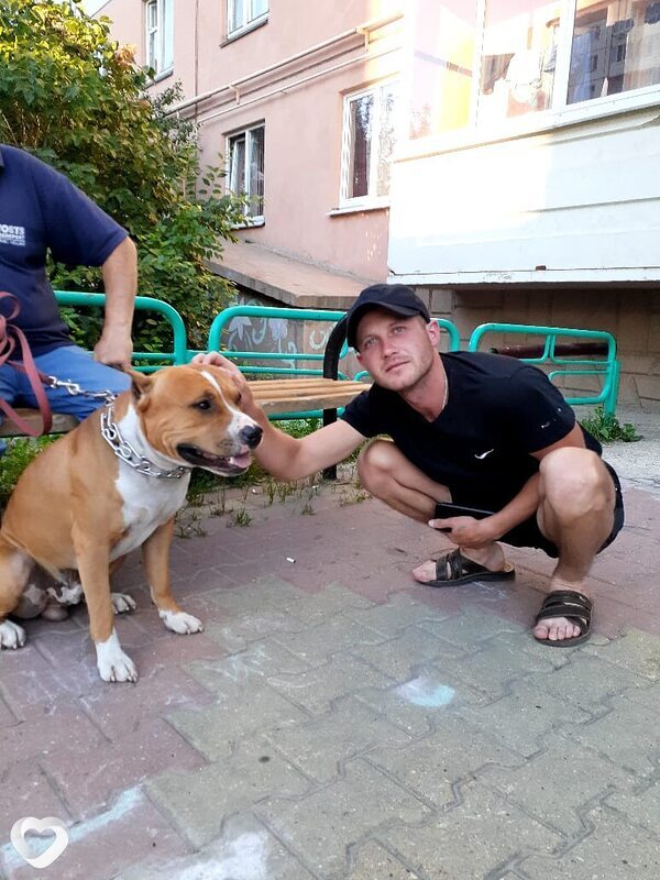 Виктор, 32, Елеце — анкета №2621654