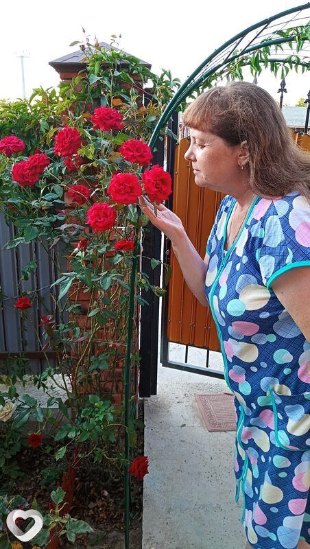 Лариса, Далматово