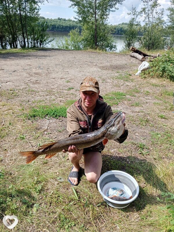 Алексей, 55, Ленинске-Кузнецком — анкета №2622259