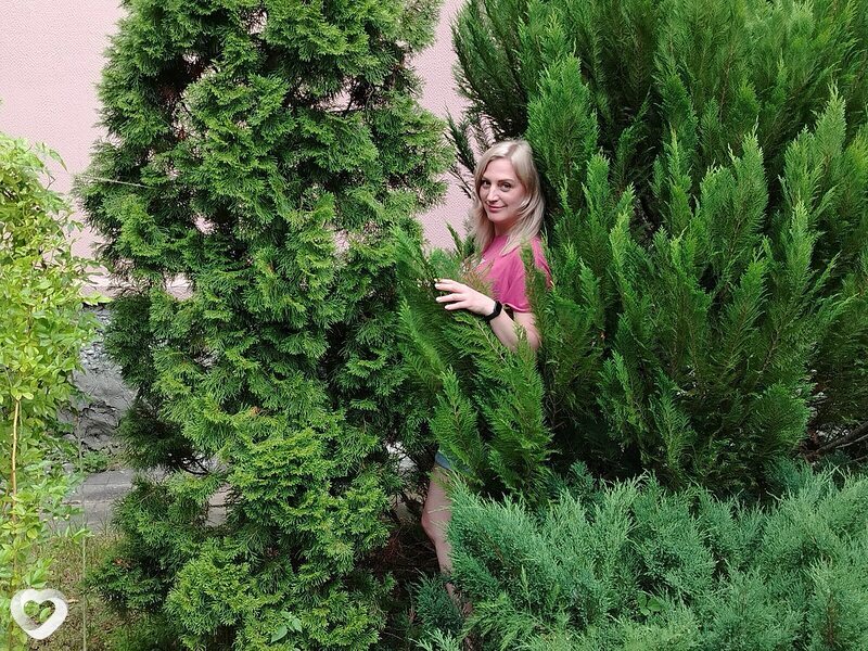 Светлана, 49, Череповце — анкета №2623340
