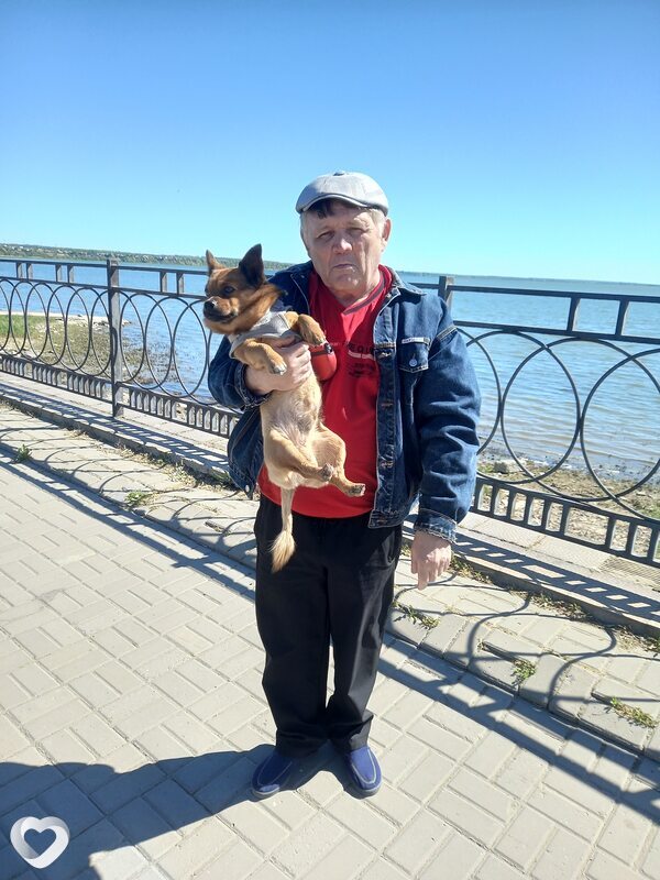 Андрей, 59, Таганроге — анкета №2625267