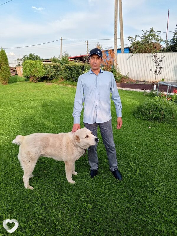 Алексей, 48, Ногинске — анкета №2625976
