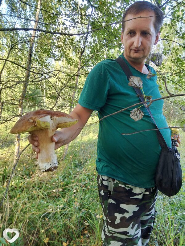 Алексей, Шуя