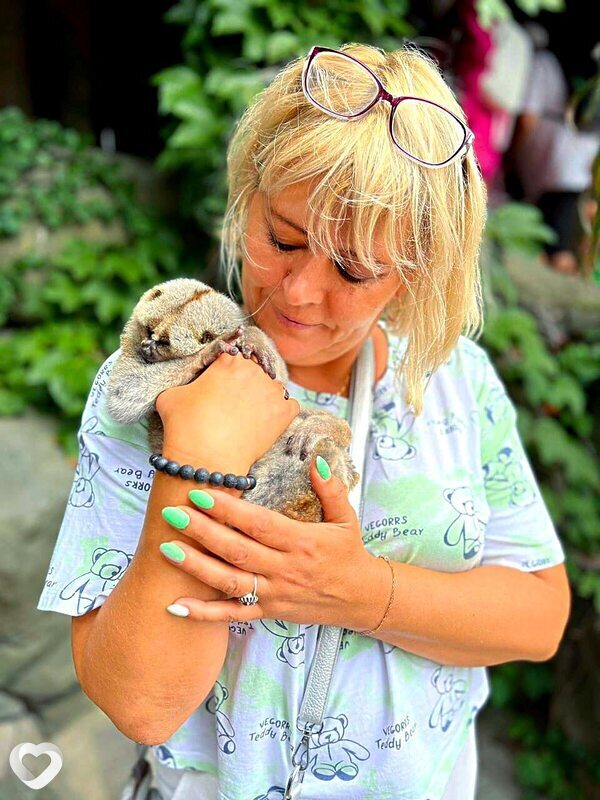 Ирина, 53, Саратове — анкета №2631311