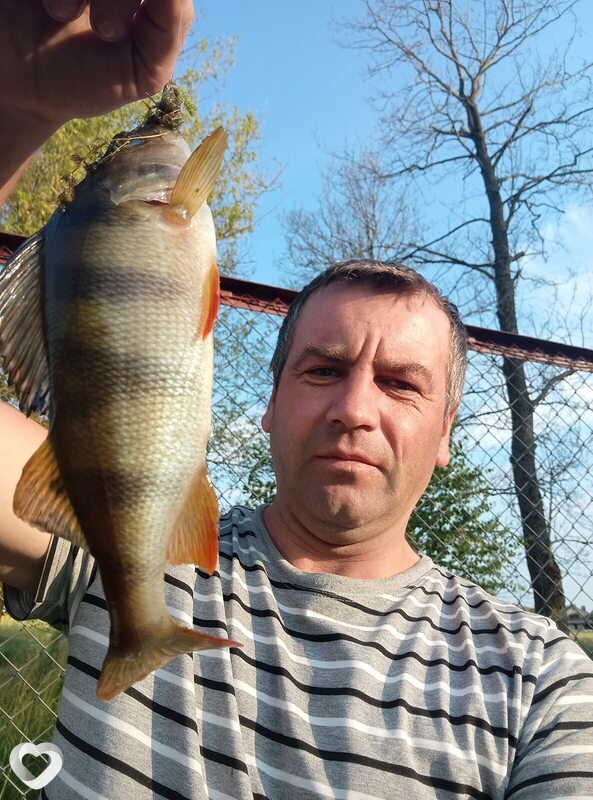 Дмитрий, 37, Осиповичах — анкета №2632370