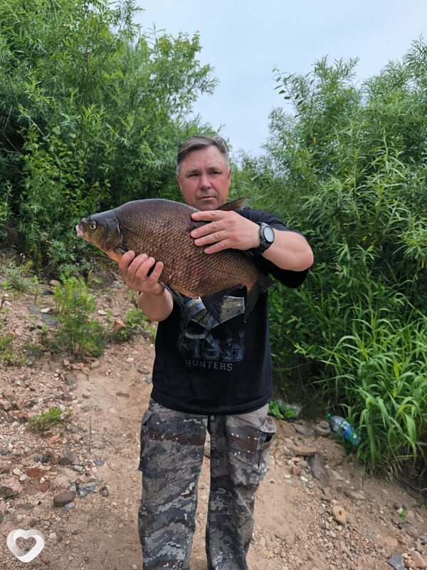 Евгений, 53, Витебске — анкета №2635438