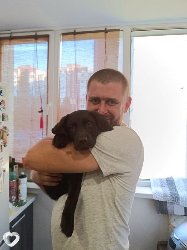 Димон, 42, Полоцке — анкета №2636554