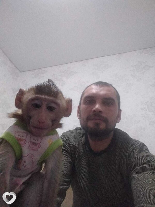 Алексей, 44, Севастополе — анкета №2637288
