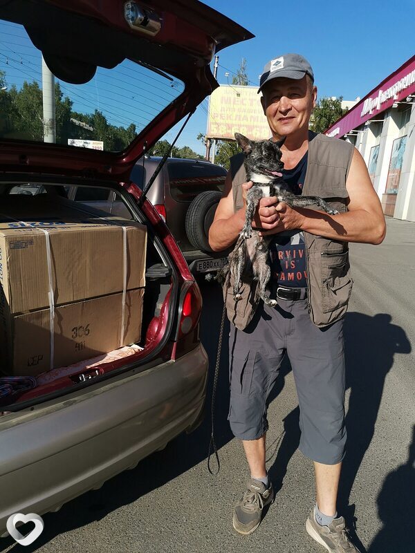 Сергей, 59, Томске — анкета №2637475