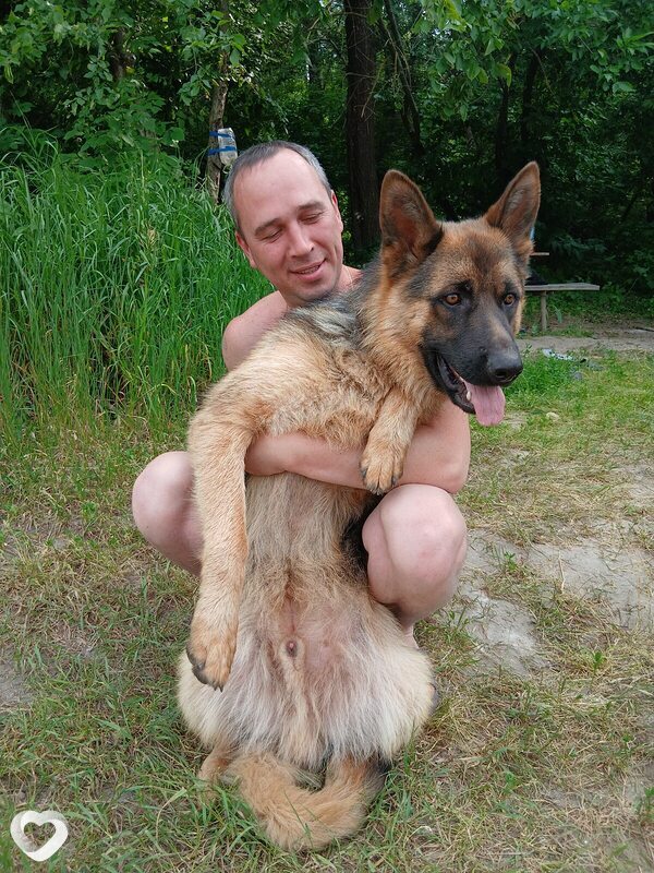 Михаил, 39, Россоши — анкета №2637518