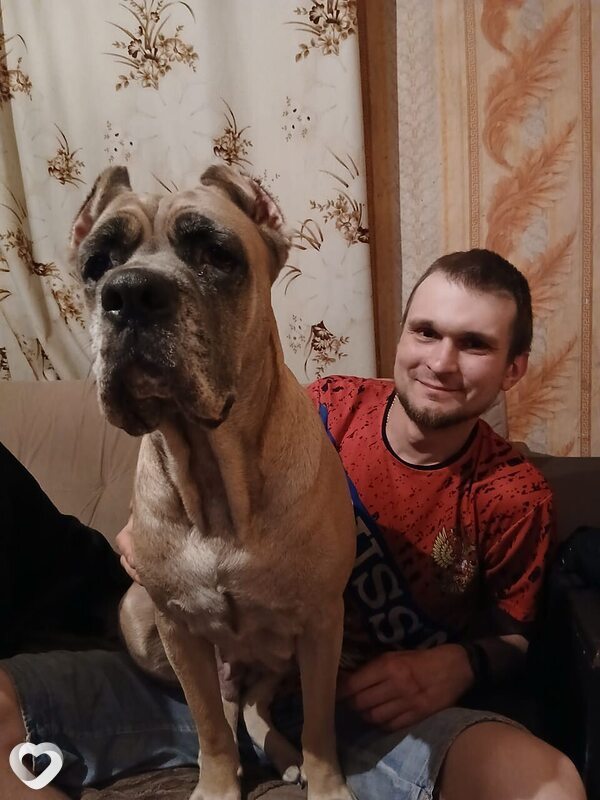 Василич, 27, Белове — анкета №2639946