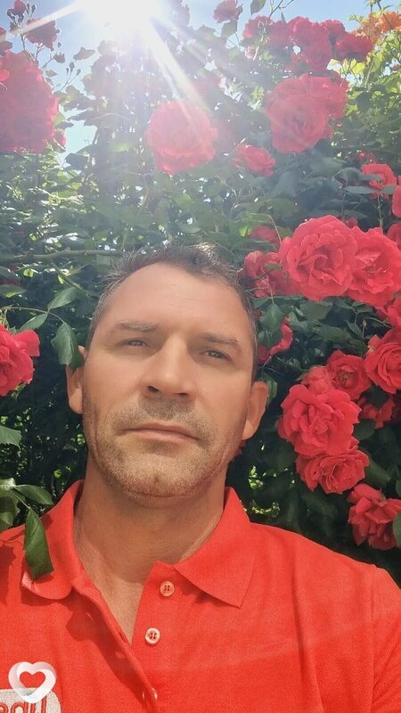 David, Франкфурт-на-Майне