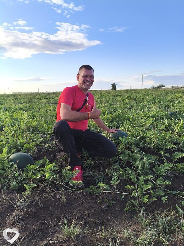 Борис, 39, Павлодаре — анкета №2647709