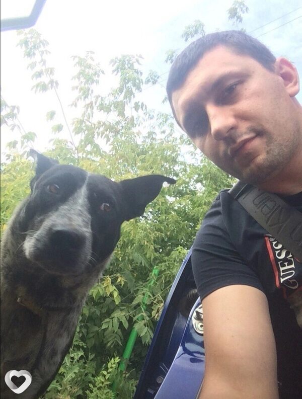 Александр, 31, Тольятти — анкета №2653463