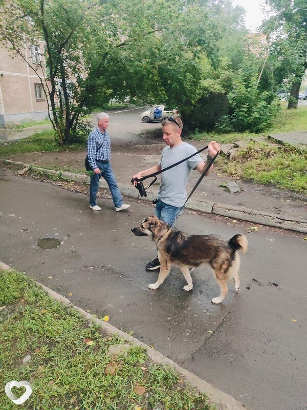 Серёга, 35, Екатеринбурге — анкета №2654666