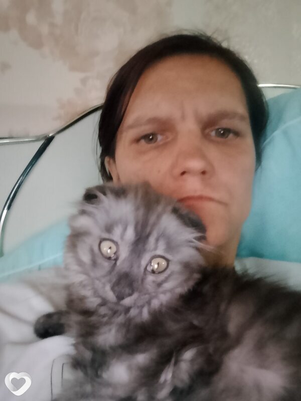 Галина, Шуя