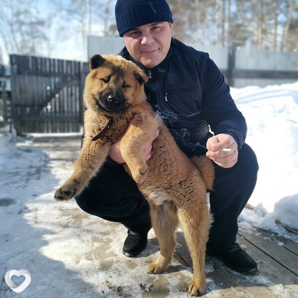 Иван, 36, Благовещенске — анкета №2661189
