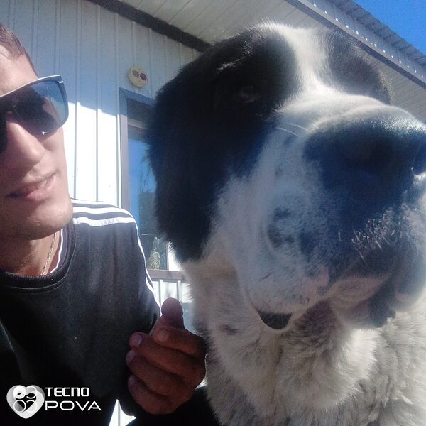 Алексей, 30, Чите — анкета №2672602