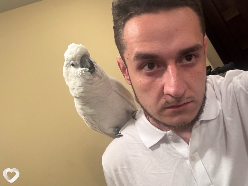 Roman, 28, Ставрополе — анкета №2673992