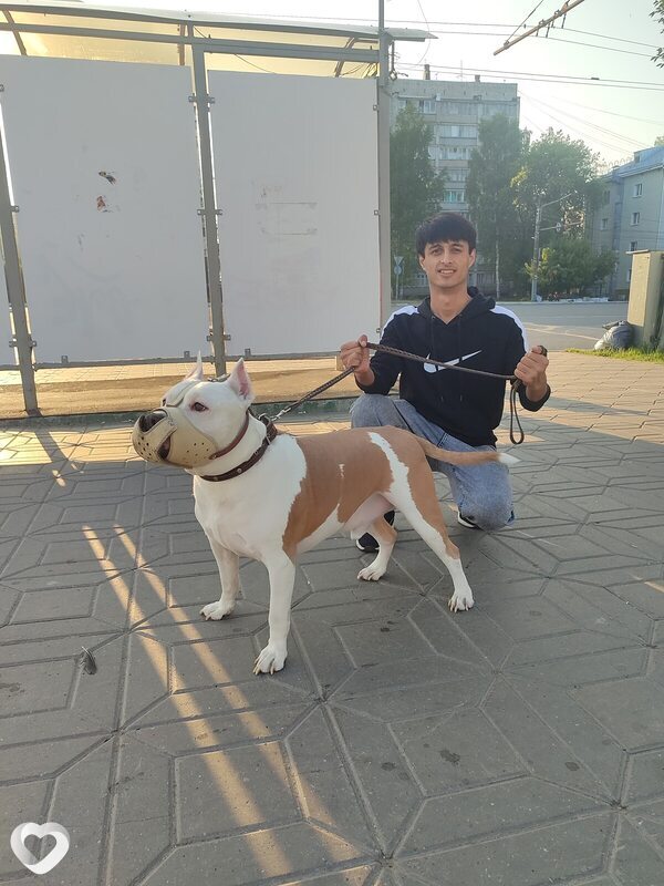 Федя, 23, Кирове — анкета №2674274