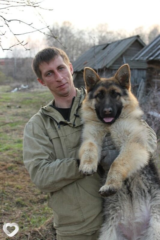 Роман, 46, Йошкар-Оле — анкета №2675414