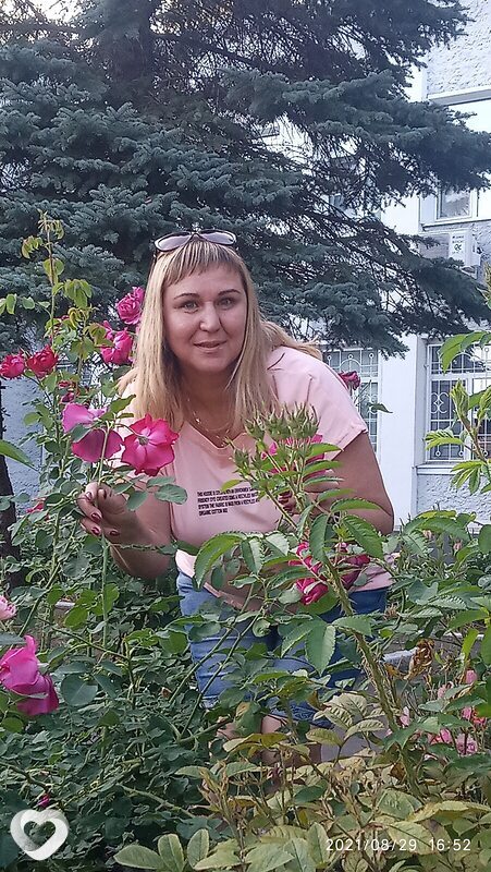 Алена, 35, Сыктывкаре — анкета №2676085
