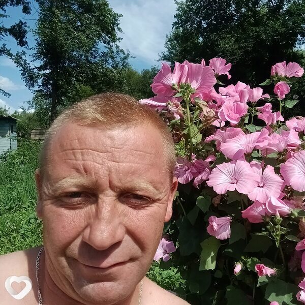 Александр, Волово