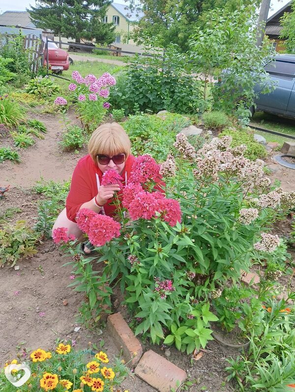 Мексика, Ува