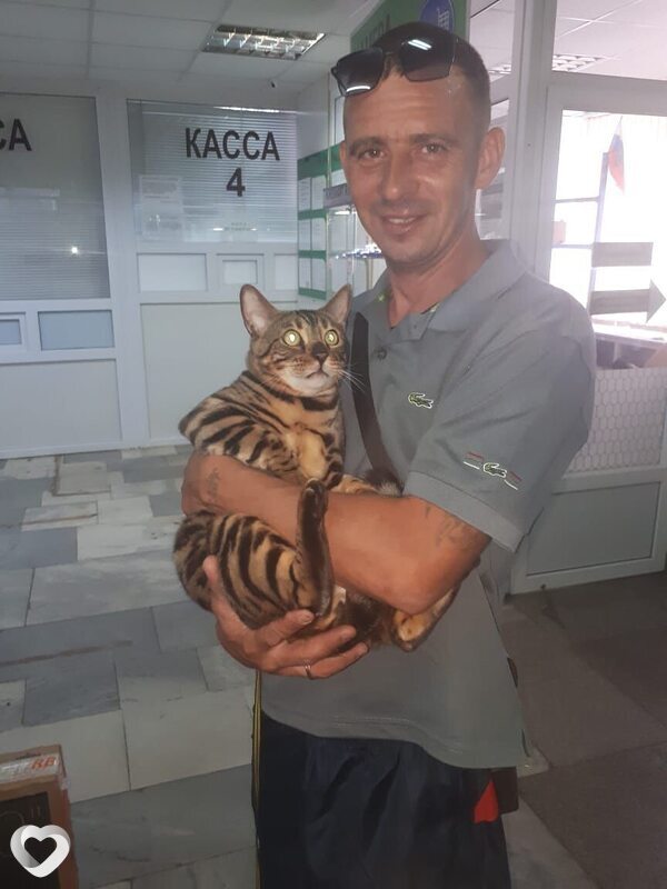 Виталий, Энергетик