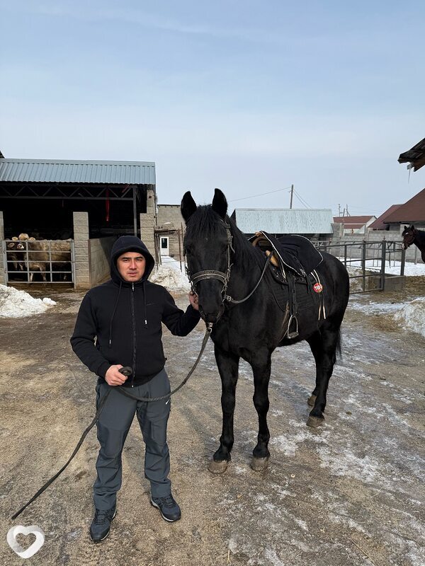 Руслан, 32, Алматы — анкета №2686216