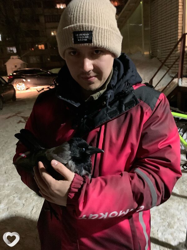 Ким Чи, 22, Чебоксарах — анкета №2699252