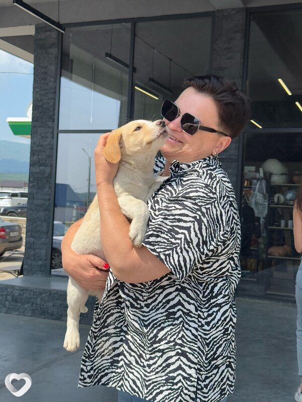 Лариса, 53, Туле — анкета №2706122