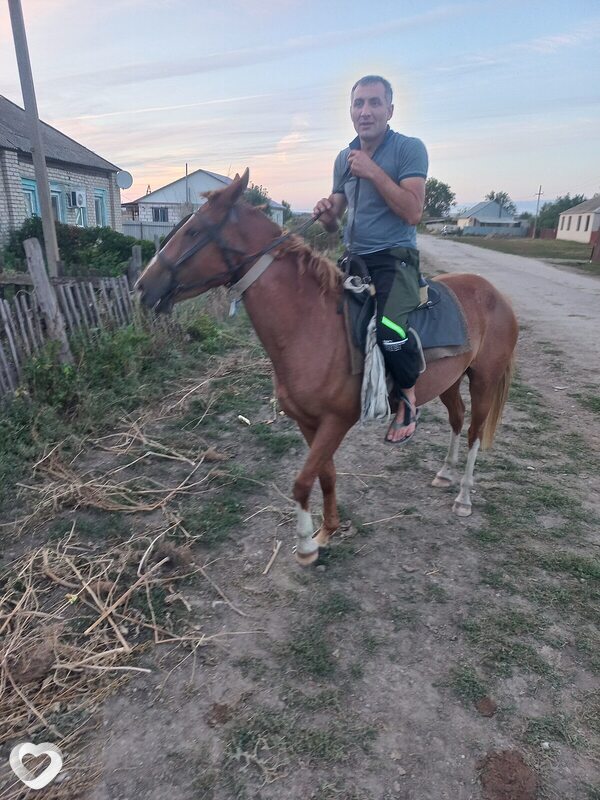 Алик, 38, Сосновом Боре — анкета №2706321